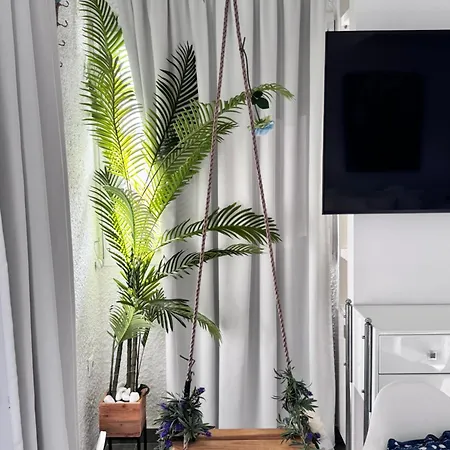 Apartment Dedis *