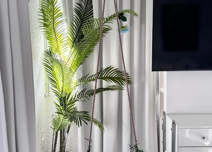 Appartement Dedis Apartment's *